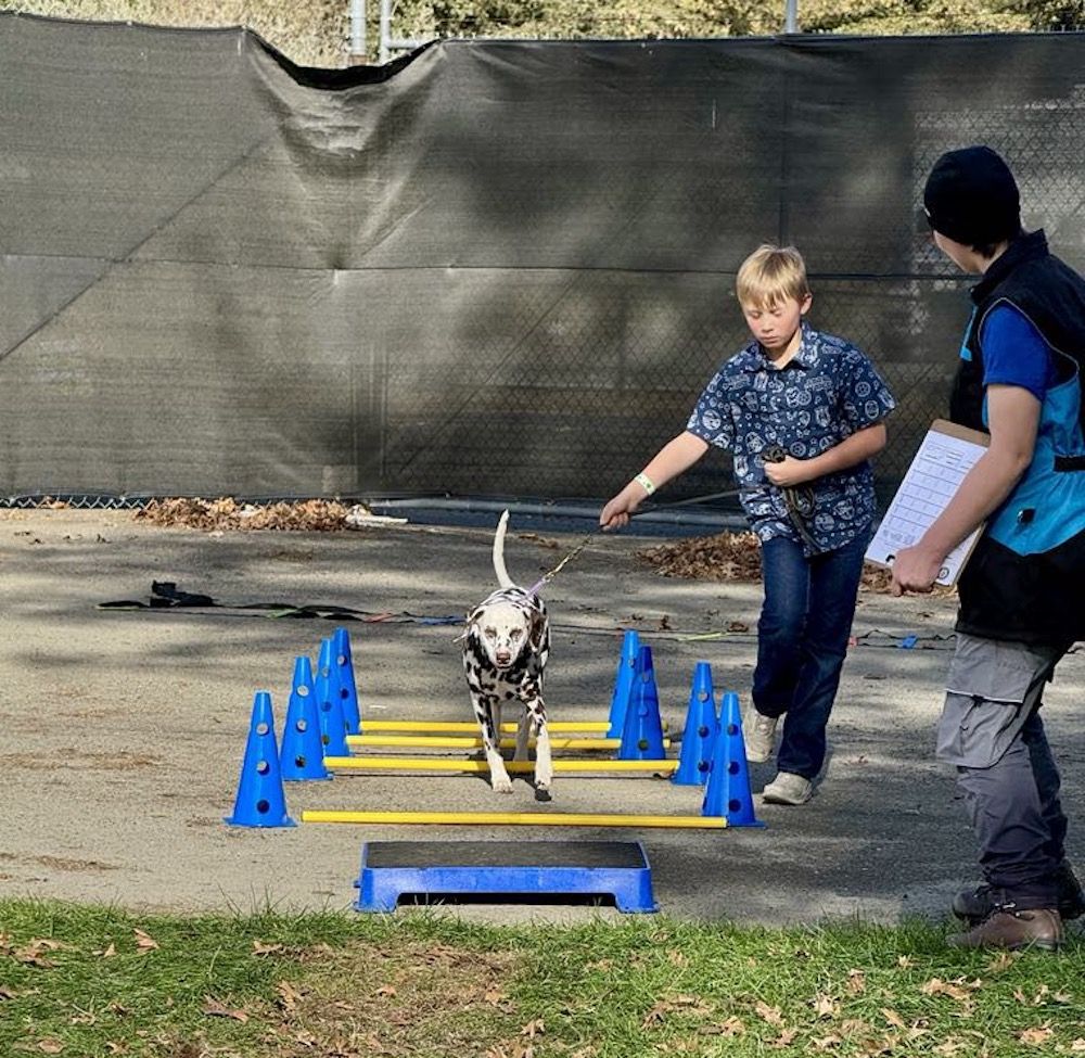 Shine On, Harvest Moon Classic